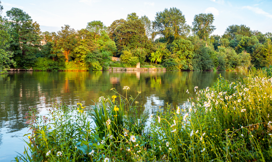 rivière